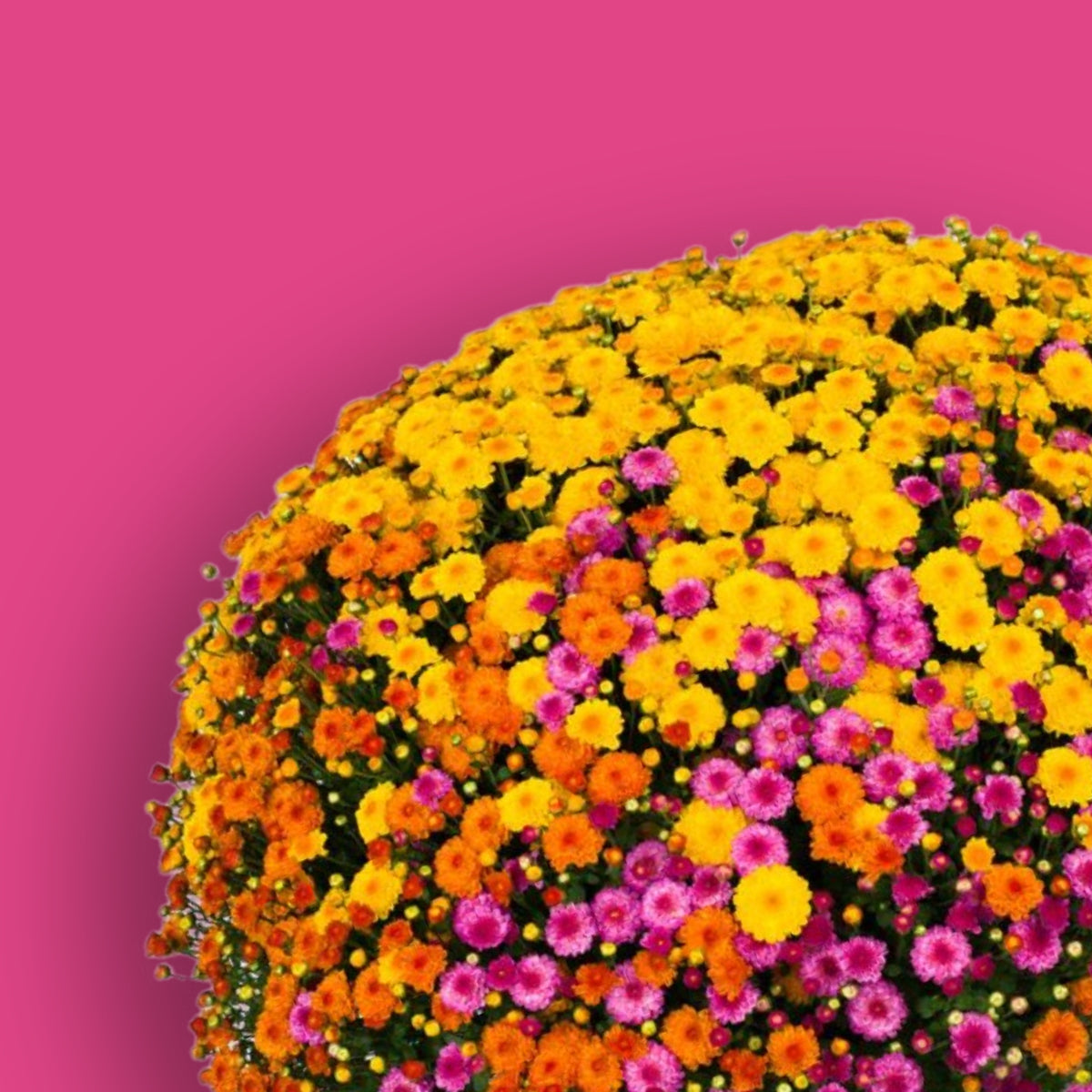 3647A7F7-B6BE-4408-AAC7-